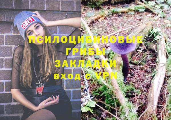 дживик Алексеевка