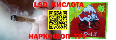 spice Донецк