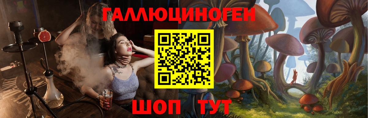 Полысаево  Псилоцибиновые грибы мицелий  Вход с VPN 